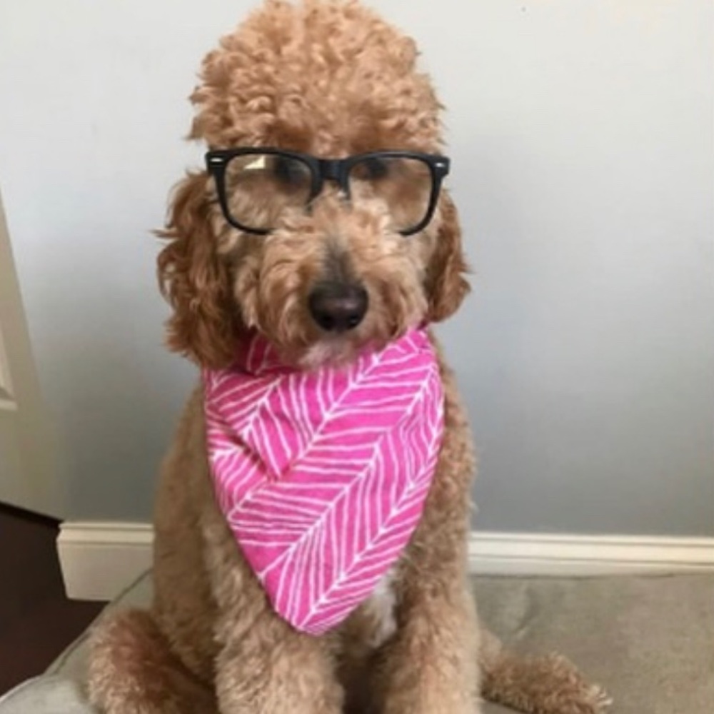 Meet your Posher, Zoe